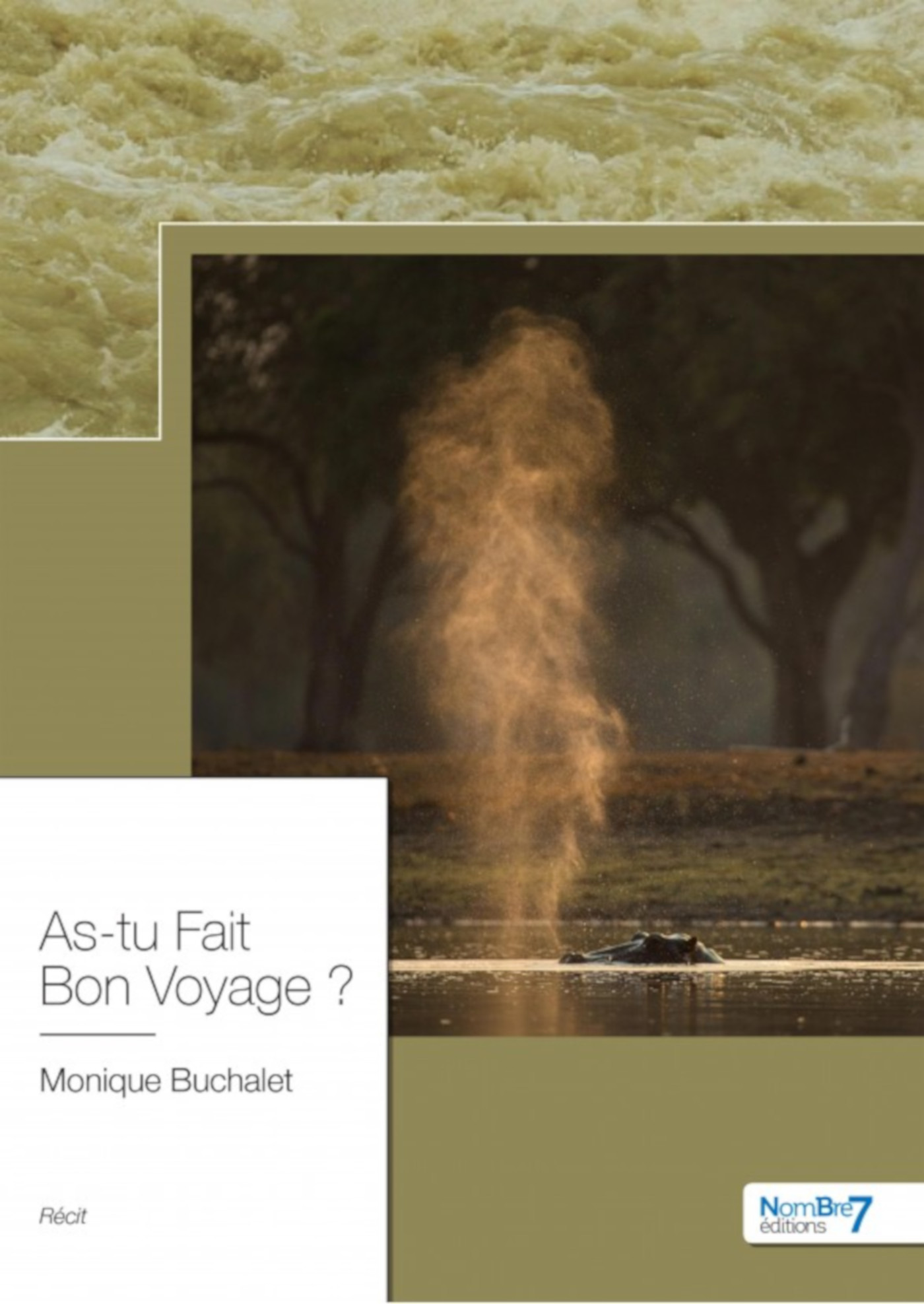 Couverture ebook de As-tu fait bon voyage ?, de Monique Buchalet