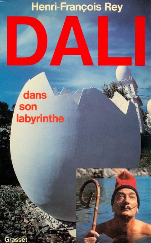 ebook cover of Dali dans son labyrinthe, by Henri-françois Rey
