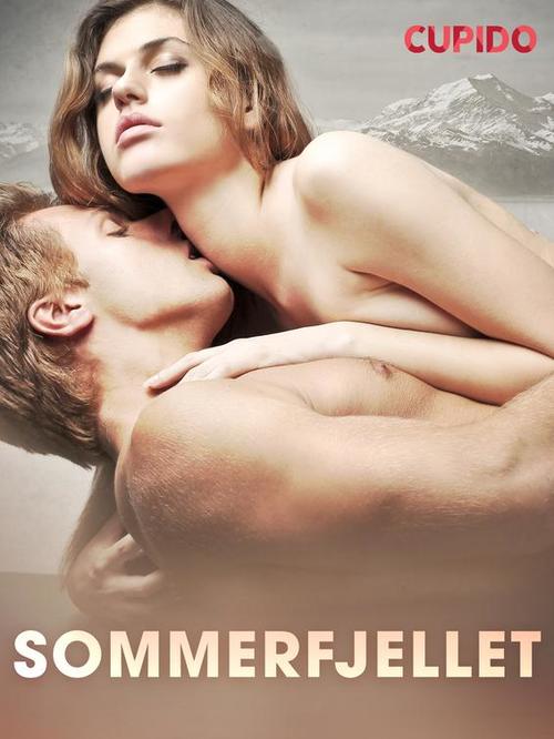Couverture ebook de Sommerfjellet, de - Cupido