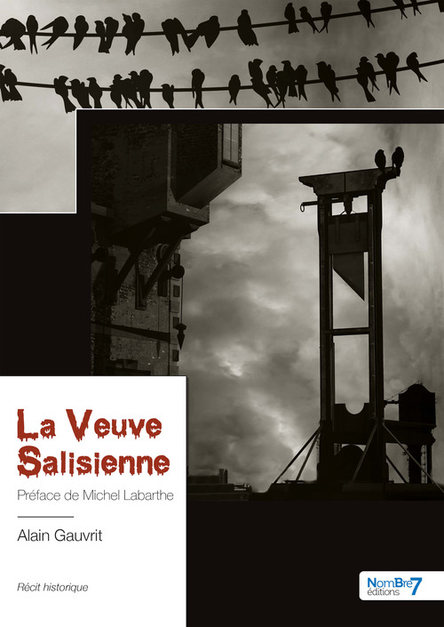 Couverture ebook de La Veuve Salisienne, de Alain Gauvrit