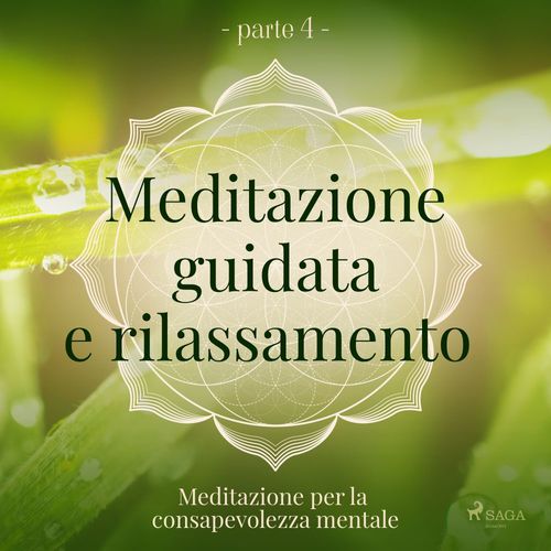 audiobook cover of Meditazione guidata e rilassamento (parte 4) - Meditazione per la consapevolezza mentale, by Trine Holt Arnsberg