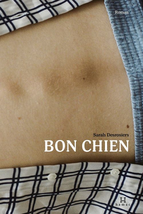 Couverture ebook de Bon chien, de Desrosiers Sarah