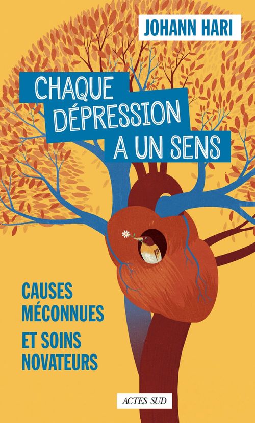 ebook cover of Chaque dépression a un sens, by Johann Hari