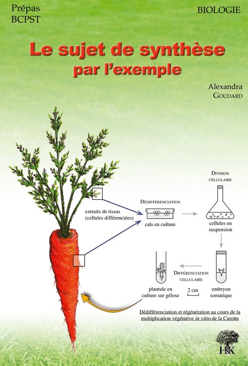 Couverture ebook de Le sujet de synthèse par l'exemple, de Alexandra Goudard