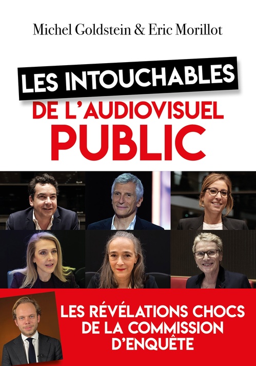 ebook cover of Les intouchables de l'audiovisuel public, by Michel Goldstein, Eric Morillot