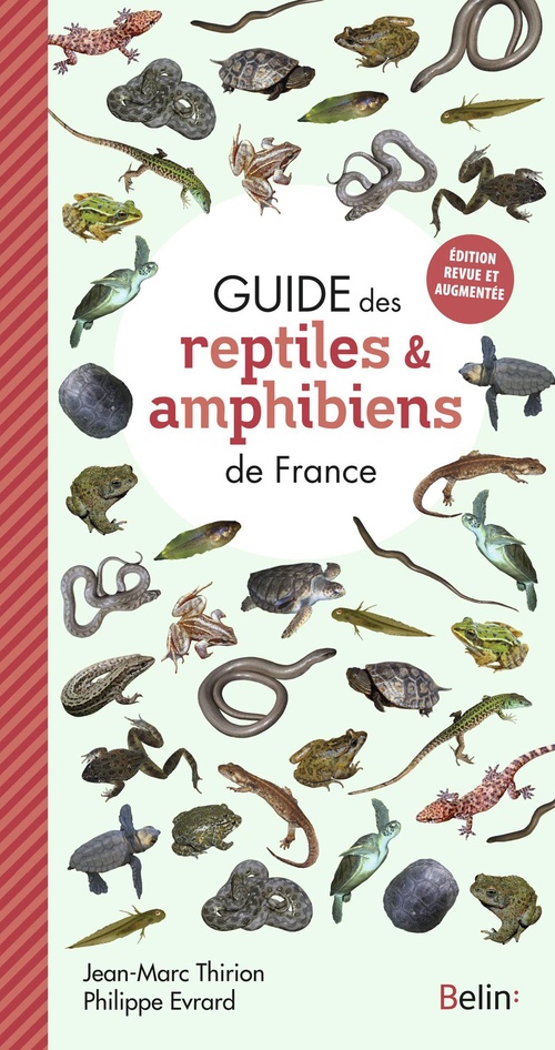 Couverture ebook de Guide des reptiles et amphibiens de France, de Philippe Evrard, Jean-marc Thirion