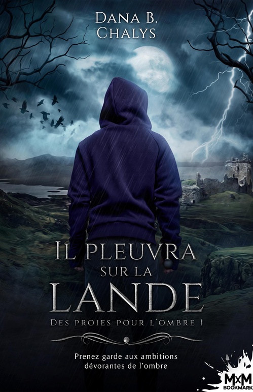 ebook cover of Il pleuvra sur la lande, by Dana B. Chalys