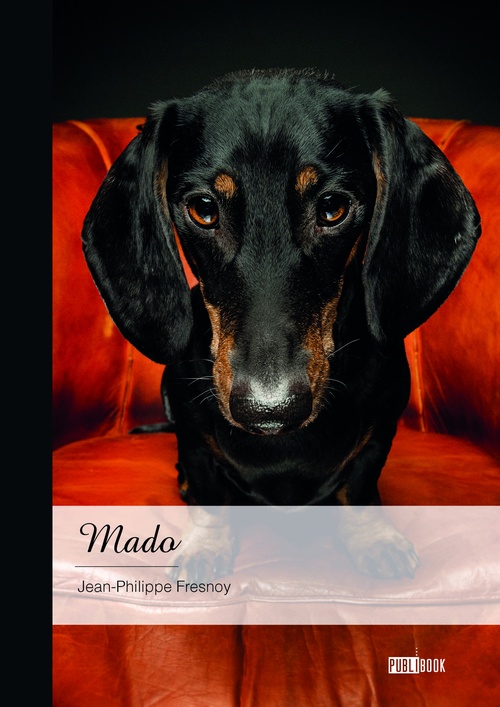 ebook cover of Mado, by Jean-Philippe Fresnoy