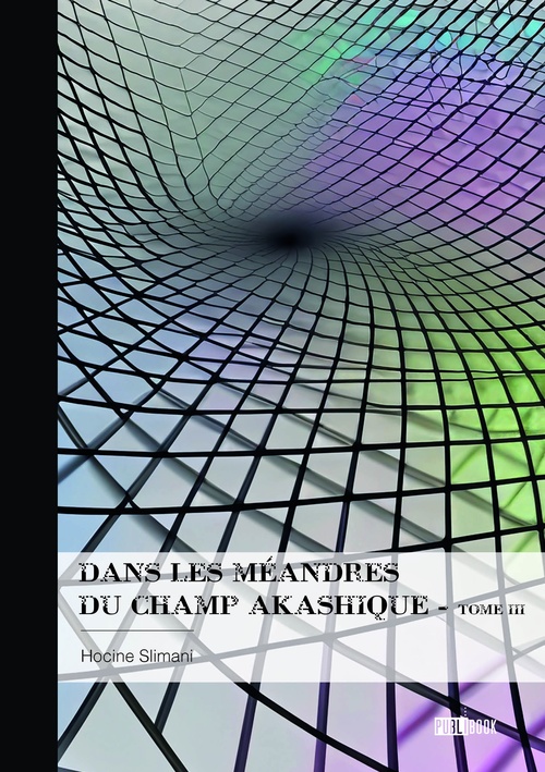 Couverture ebook de Dans les méandres du champ akashique, de Hocine Slimani
