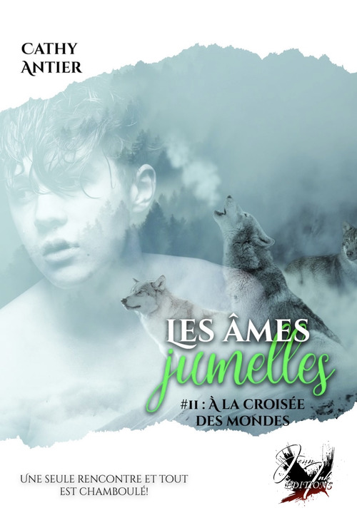 Couverture ebook de Les Âmes-Jumelles #2, de Cathy Antier