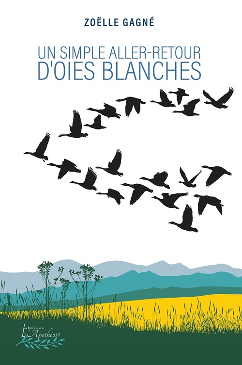 ebook cover of Un simple aller-retour d'oies blanches, by Zoelle Gagne