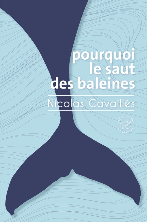 Couverture ebook de Pourquoi le saut des baleines, de Nicolas Cavaillès