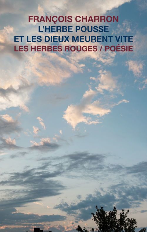 ebook cover of L´herbe pousse et les dieux meurent vite, by Charron Francois