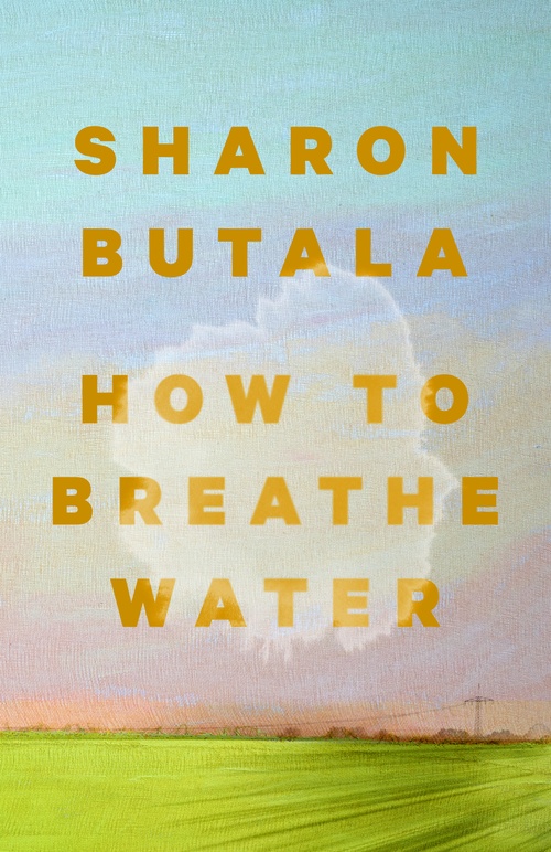 Couverture ebook de How to Breathe Water, de Sharon Butala