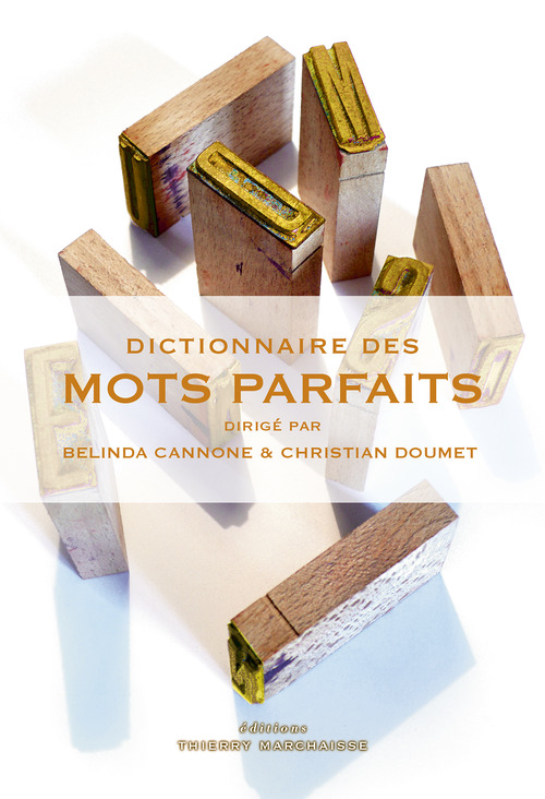 Couverture ebook de Dictionnaire des mots parfaits, de Belinda Cannone, Christian Doumet