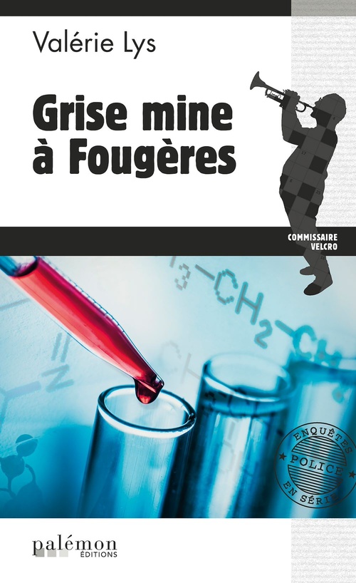 ebook cover of Grise mine à Fougères, by Valérie Lys