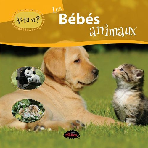ebook cover of As-tu vu? les bébés animaux, by Julien Cleon