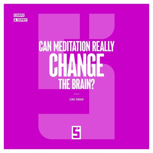 ebook cover of Can Meditation Really Change the Brain ?, by Lewis Verdun