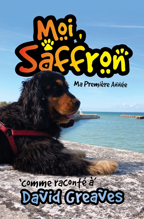 Couverture ebook de Moi, Saffron - Ma Première Année, de David Greaves