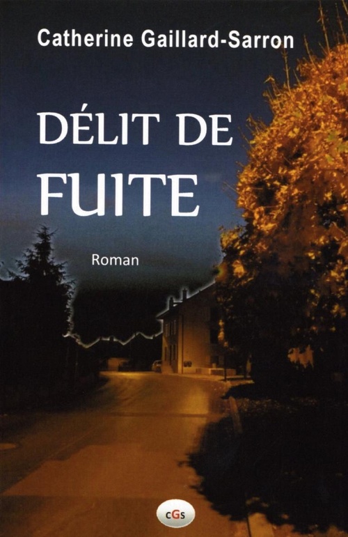 Couverture ebook de Délit de fuite, de Catherine Gaillard-Sarron
