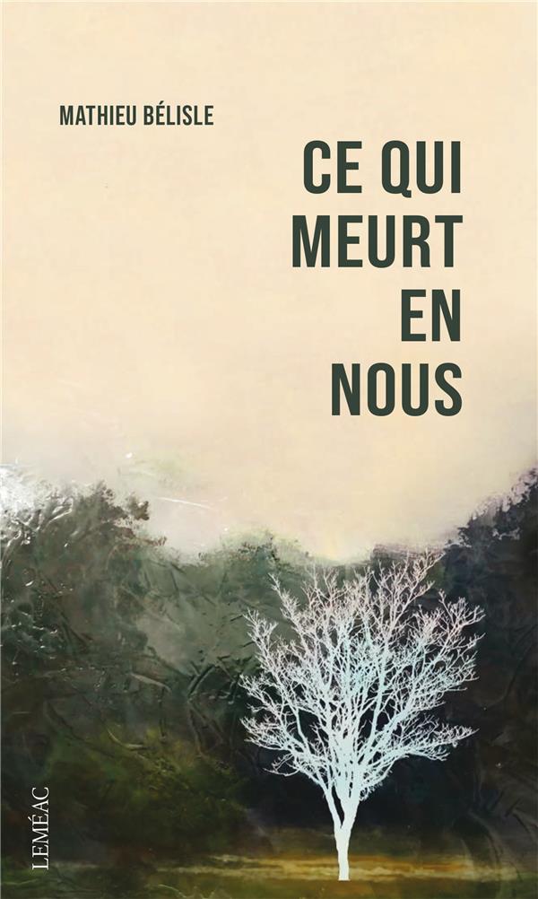 ebook cover of Ce qui meurt en nous, by Mathieu Bélisle