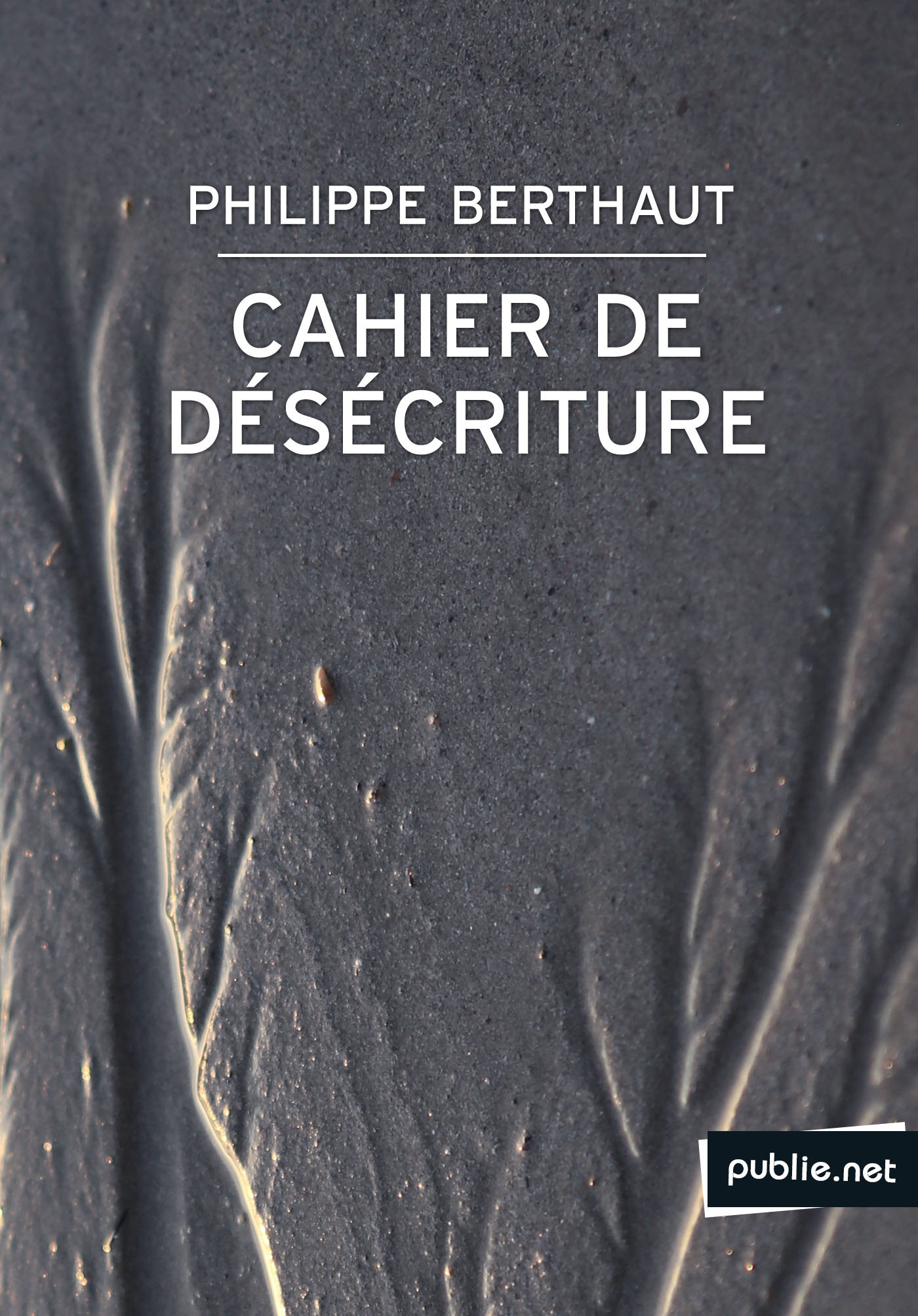 ebook cover of Cahier de désécriture, by Philippe Berthaut