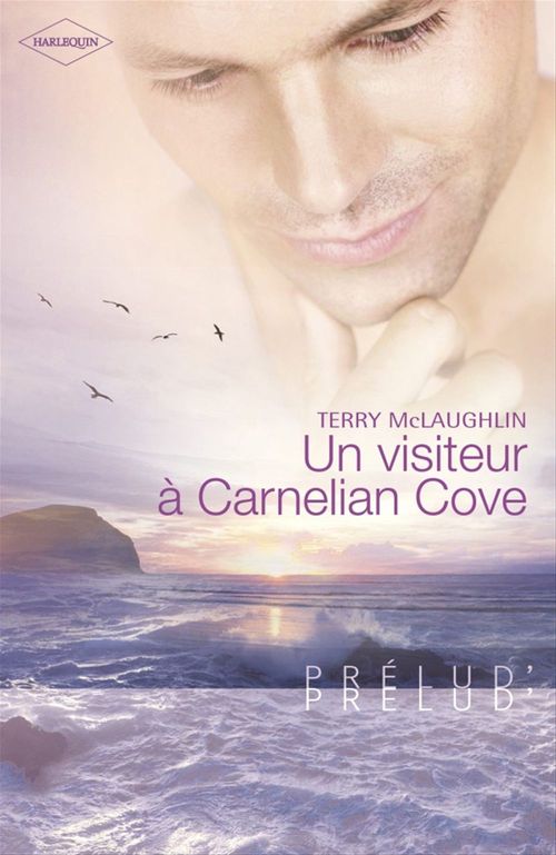 Couverture ebook de Un visiteur à Carnelian Cove (Harlequin Prélud'), de Terry Mclaughlin