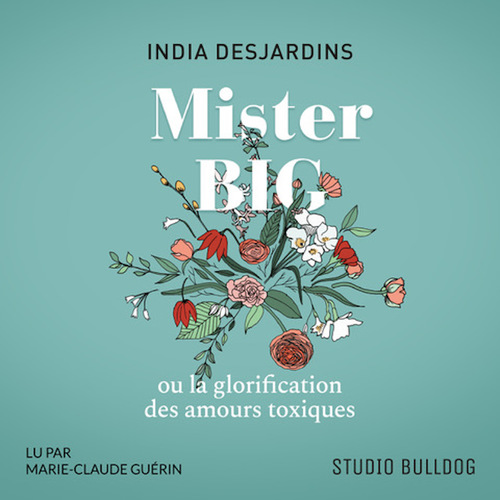 audiobook cover of Mister Big, by India Desjardins