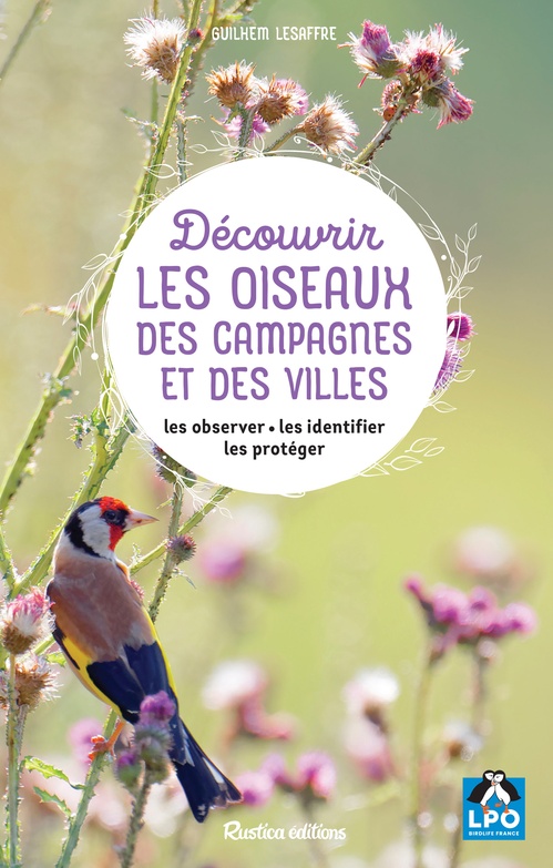 ebook cover of Découvrir les oiseaux des campagnes et des villes, by Guilhem Lesaffre