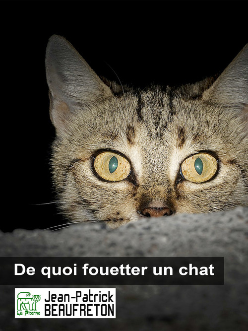 Couverture ebook de De quoi fouetter un chat, de Jean-patrick Beaufreton