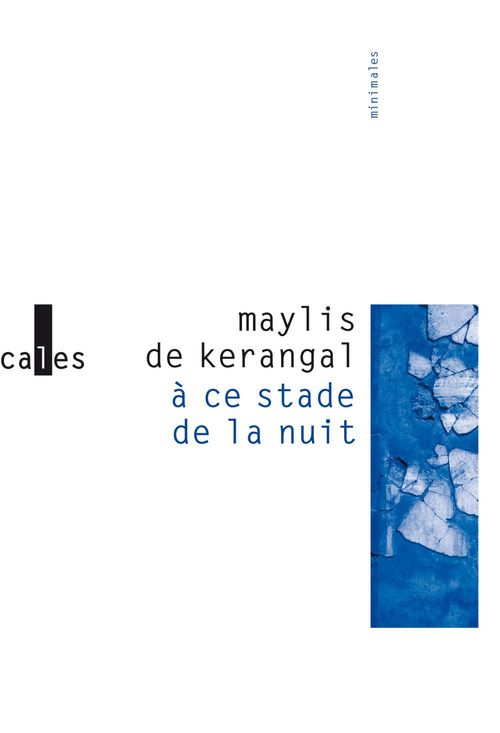 ebook cover of À ce stade de la nuit, by Maylis de Kerangal