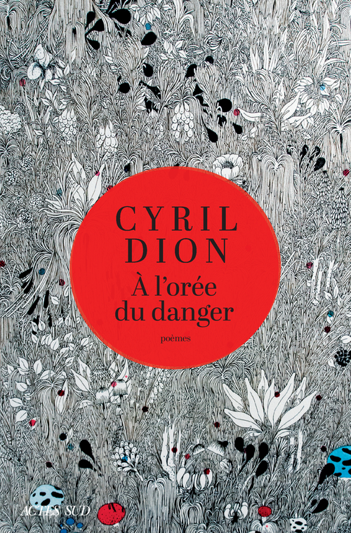 Couverture ebook de À l'orée du danger, de Cyril Dion