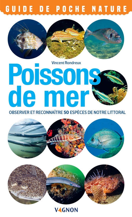 ebook cover of Poissons de mer, by Vincent Rondreux