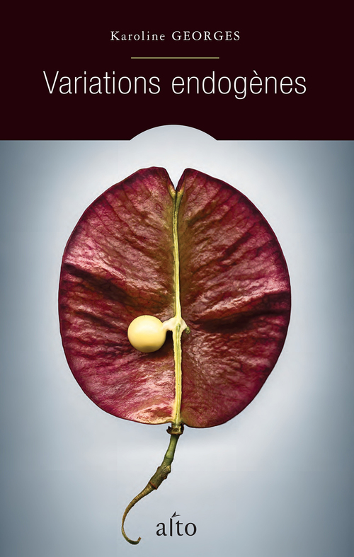 Couverture ebook de Variations endogènes, de Georges Karoline