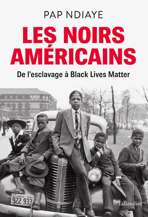 ebook cover of Les Noirs américains, by Pap Ndiaye