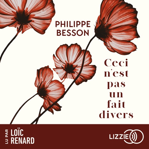 Couverture audiobook de Ceci n'est pas un fait divers, de Philippe Besson