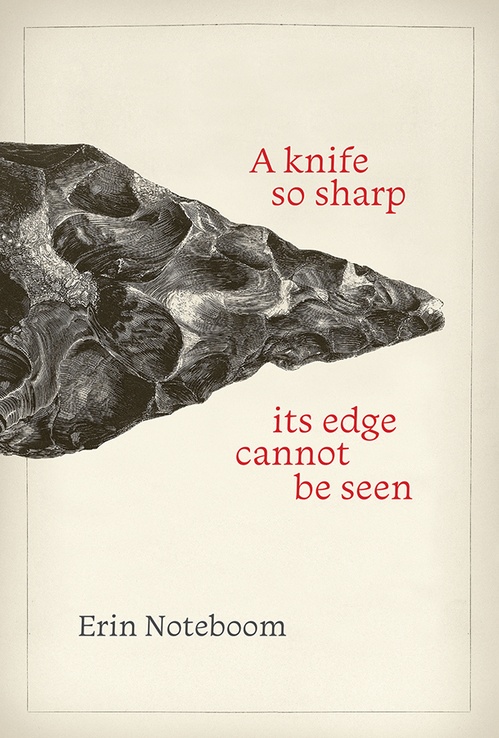 Couverture ebook de A knife so sharp its edge cannot be seen, de Erin Noteboom