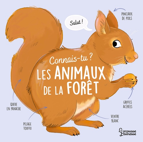 Couverture ebook de Connais-tu les animaux de la forêt ?, de Agnès Besson, Axelle Vanhoof