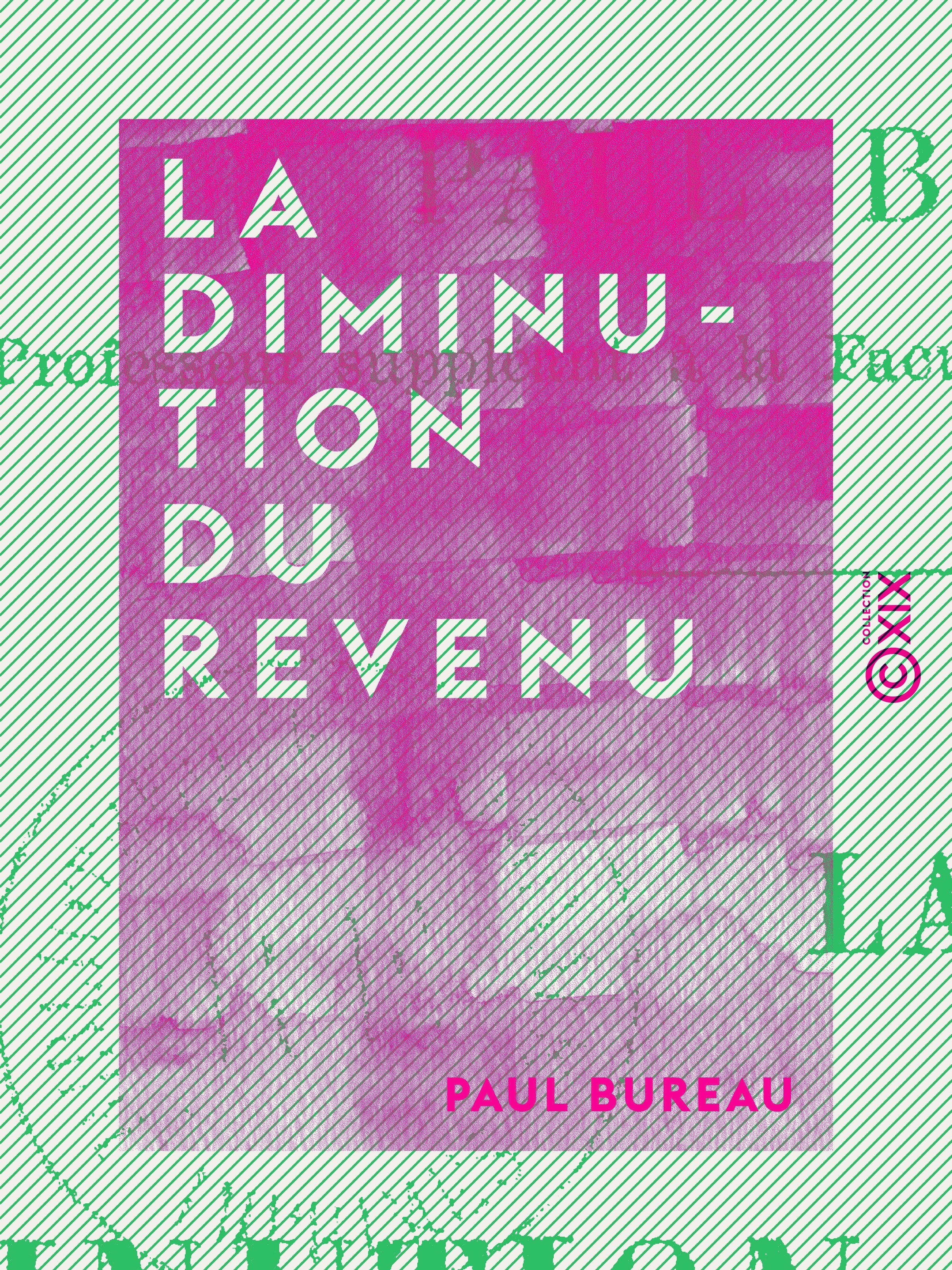 Couverture ebook de La Diminution du revenu, de Paul Bureau