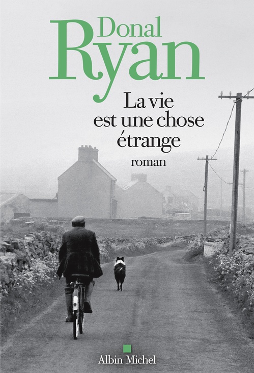 Couverture ebook de La Vie est une chose étrange, de Donal Ryan