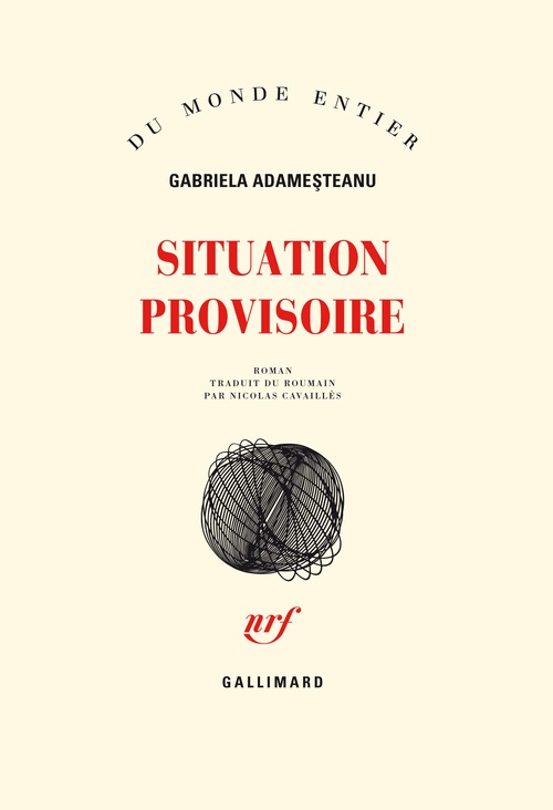 Couverture ebook de Situation provisoire, de Gabriela Adamesteanu