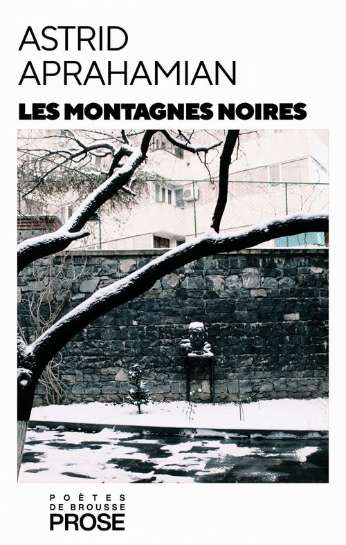 ebook cover of Les montagnes noires, by Astrid Aprahamian