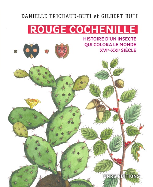 ebook cover of Rouge Cochenille. Histoire d'un insecte qui colora le monde XVIe-XXIe siècle, by Gilbert Buti, Danielle Trichaud-buti