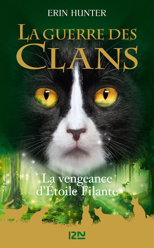 ebook cover of La guerre des clans - Hors-série 6 La Vengeance d'Étoile Filante, by Erin Hunter