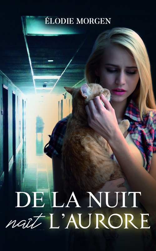 ebook cover of De la nuit naît l'aurore, by Elodie Morgen