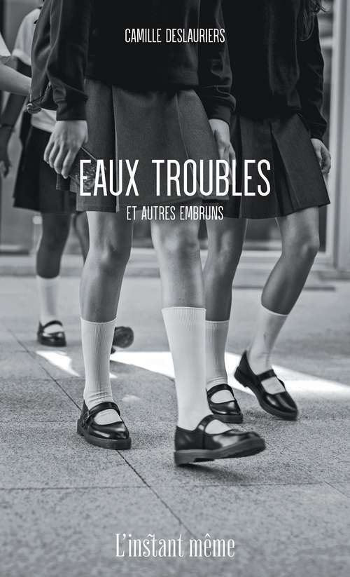 Couverture ebook de Eaux troubles et autres embruns, de Deslauriers Camille