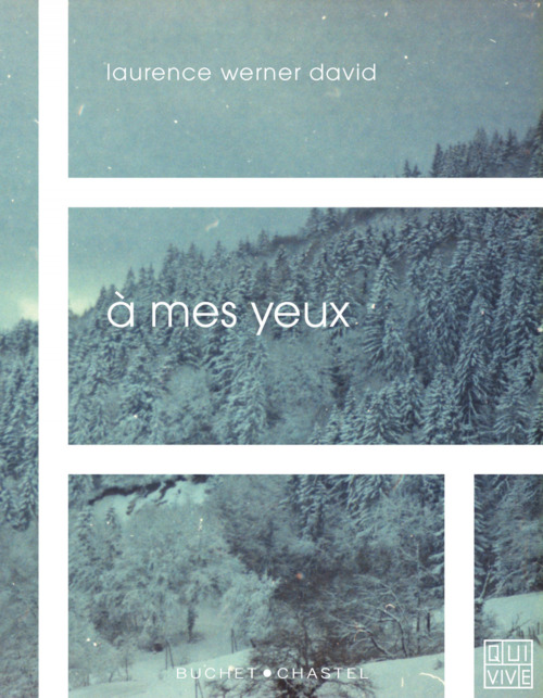ebook cover of A mes yeux, by Laurence Werner David
