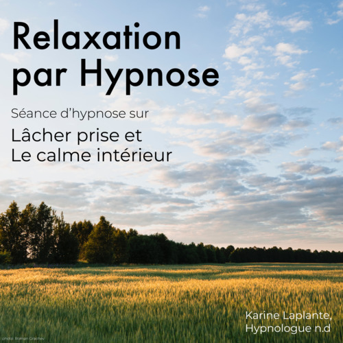 audiobook cover of Relaxation par Hypnose: Lâcher Prise, by Karine Laplante Lariviere