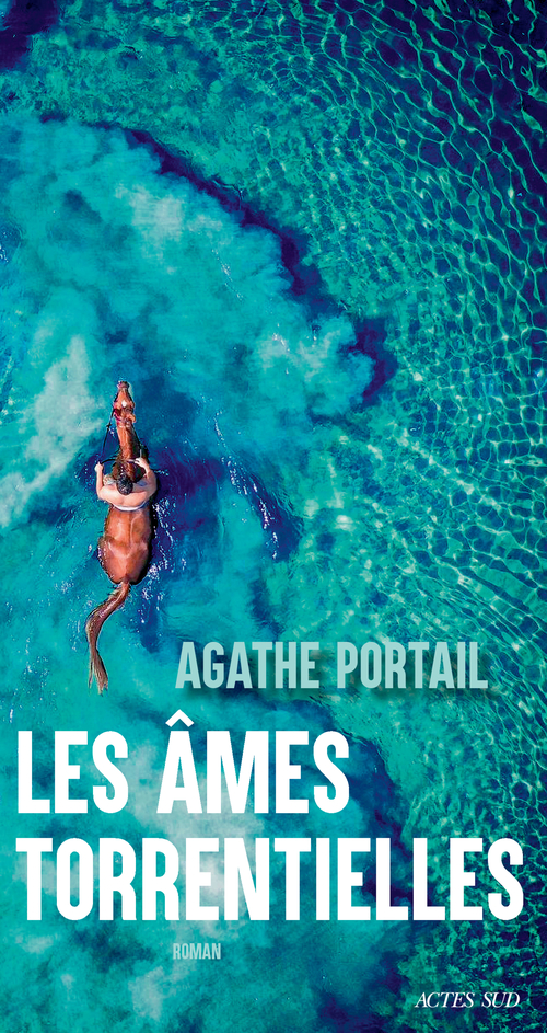 ebook cover of Les Âmes torrentielles, by Agathe Portail