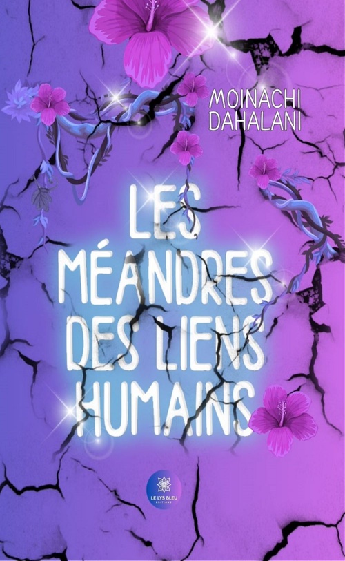 ebook cover of Les méandres des liens humains, by Moinachi Dahalani
